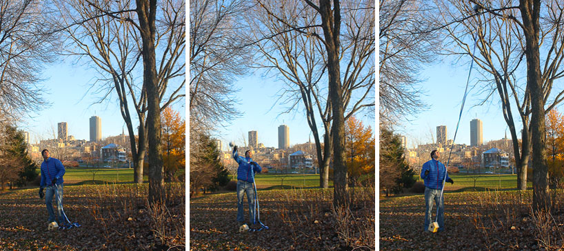 j&eacute;r&eacute;my couture + claudia despr&eacute;s: birdhouses