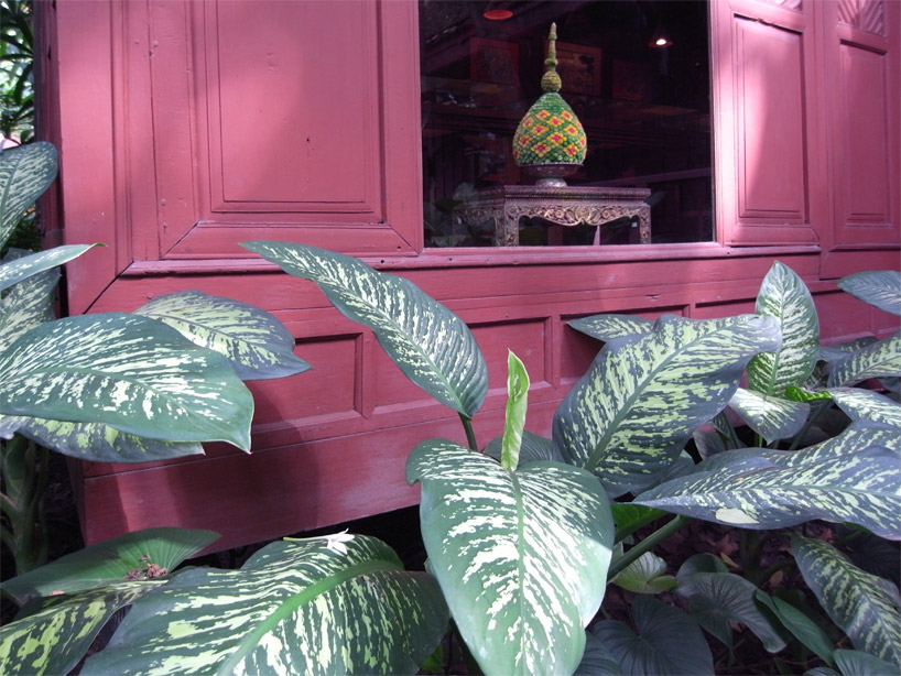 jim thompson thai house and museum