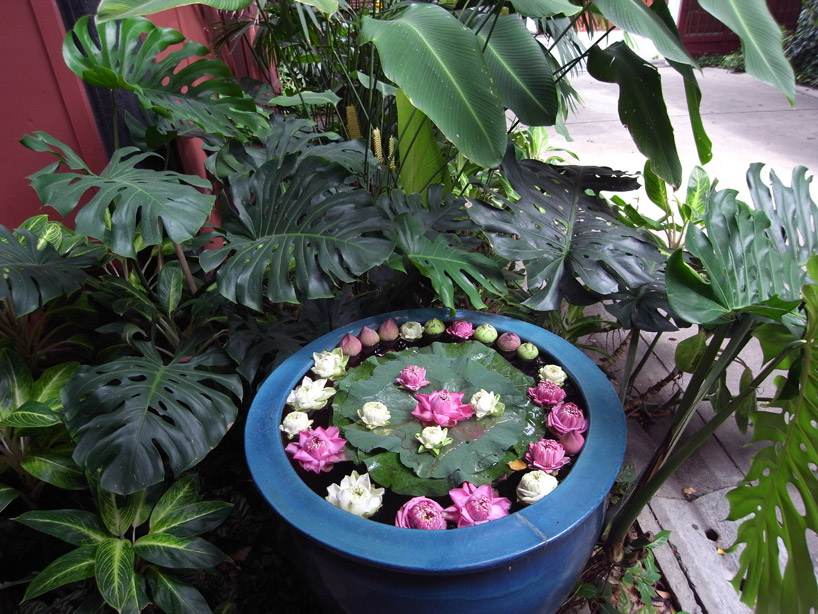 jim thompson thai house and museum