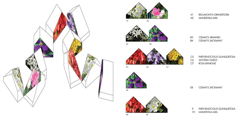 etb studio: hacienda de las flores