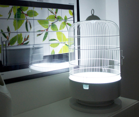 su.d. collective: cardellino