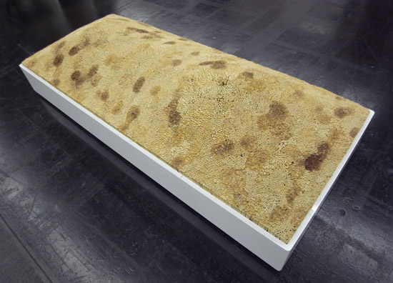 fair trade design: unseen products