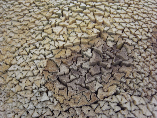 fair trade design: unseen products