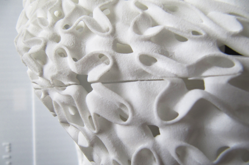 tommaso casucci: biodigital processes in architecture