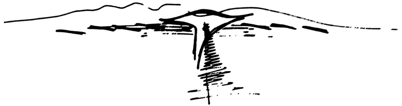 circa architecture: saffire