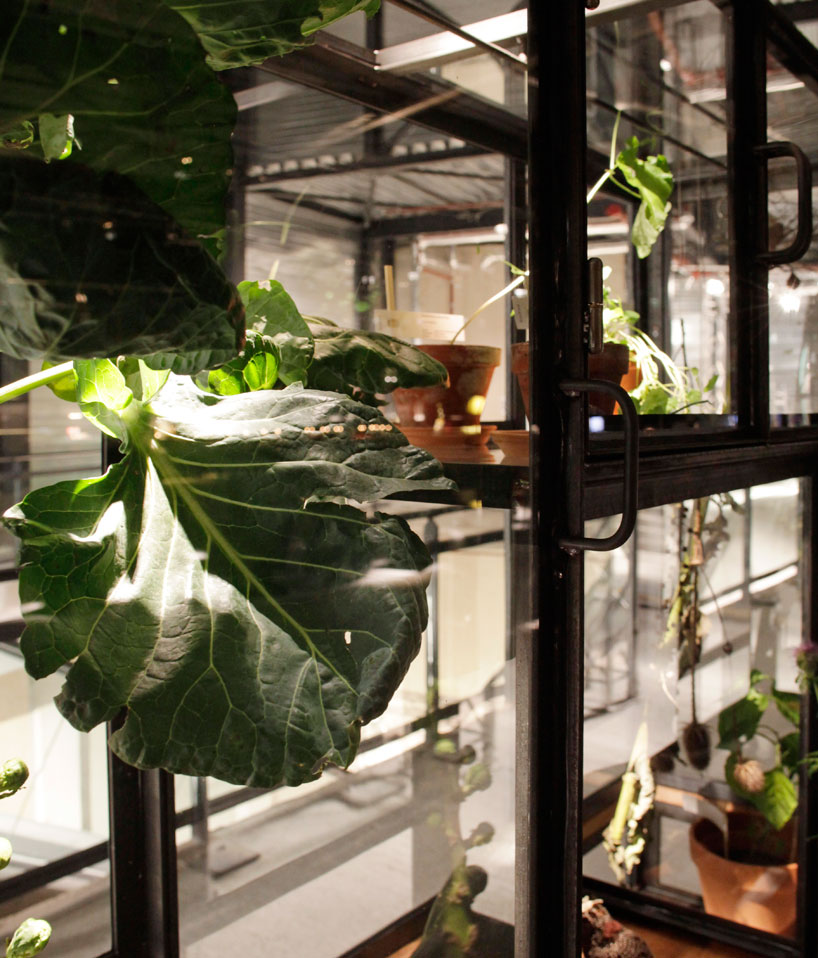 bureau marije van der park + latu: kaskast