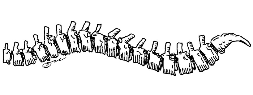 OFIS architekti: sauslamp