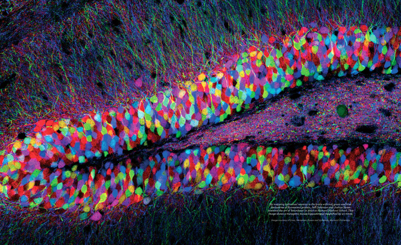 google: think quarterly