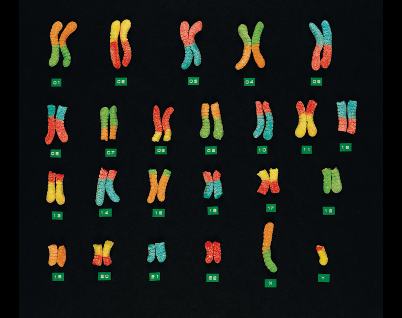 kevin van aelst: staged photography