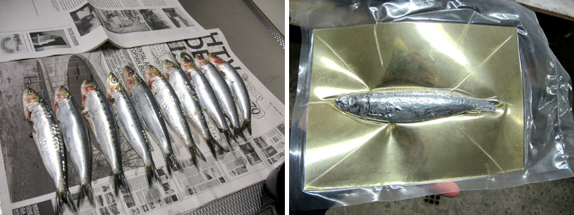 tristan cochrane: fish rocking chair