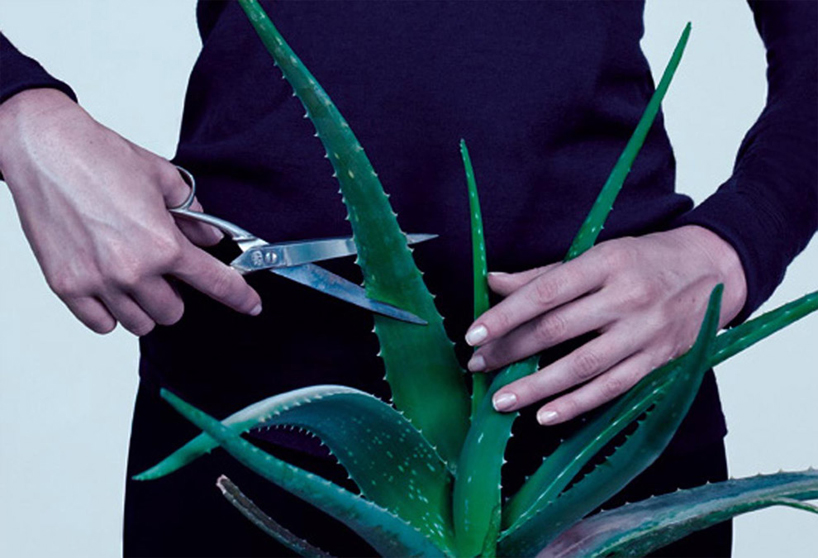 TOILETPAPER magazine: maurizio cattelan + pierpaolo ferrari