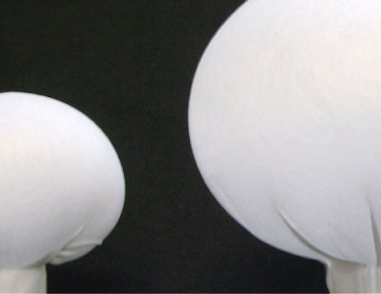 tokyo fiber '09 senseware' exhibition at milan design week