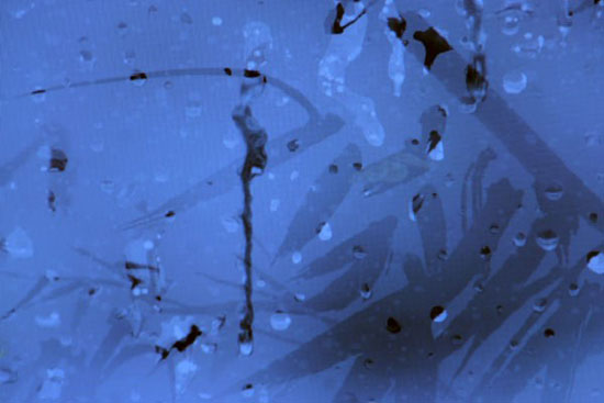 transcendence: modernity and beyond in korean art