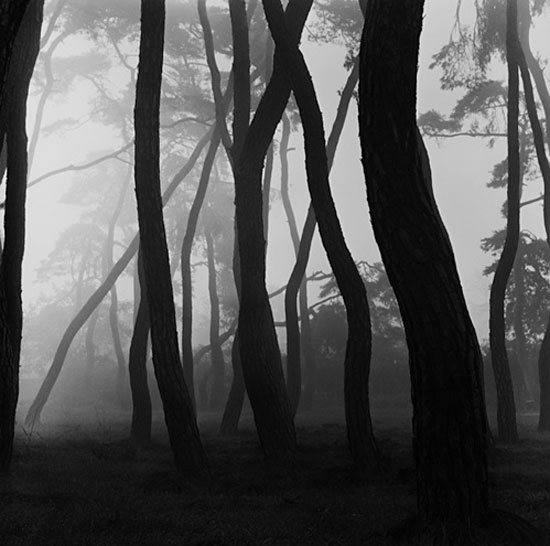 bae, bien u at galerie zur stockeregg, zurich