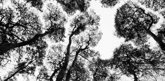 bae, bien u at galerie zur stockeregg, zurich