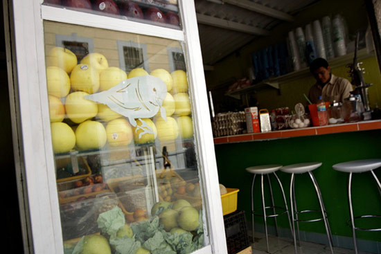 ezequiel farca and hector galvan of omelette: 'social' project, mexico city