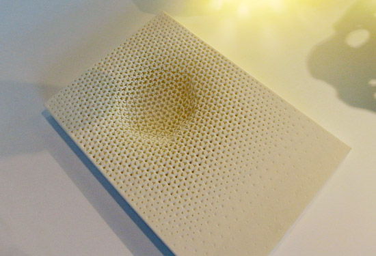 MGX evolution collection at moss, new york