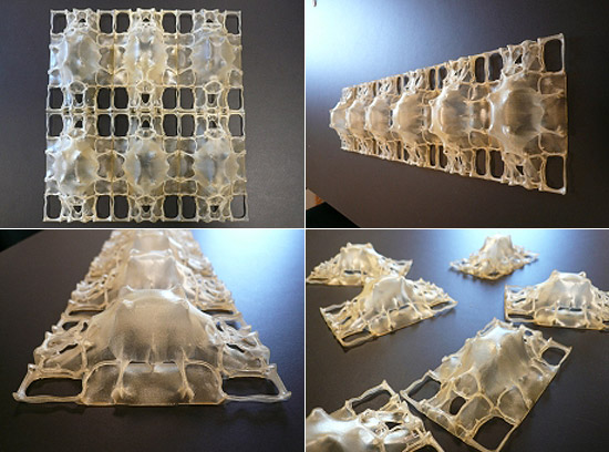 MGX evolution collection at moss, new york