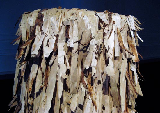 nacho carbonell: diversity