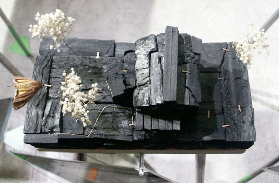 the third dimension    architecture in miniature