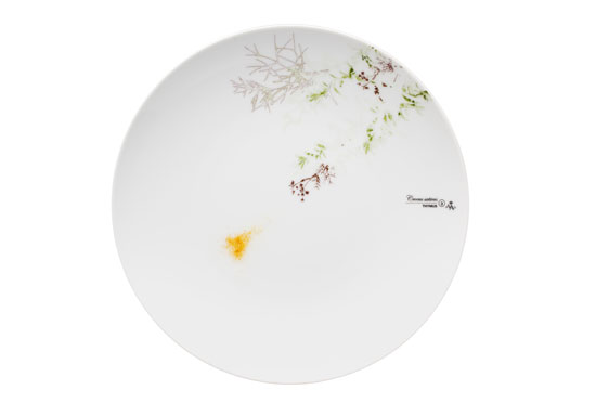 sam baron for vista alegre