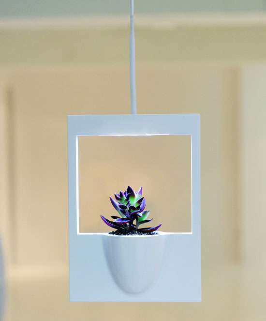 polaroid flower vase by jung hwa   jin