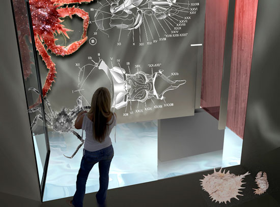 white arkitekter: kosterhavet visitor centre