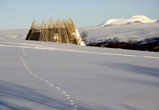 murman arkitekter: restaurant tusen in ramundberget, sweden