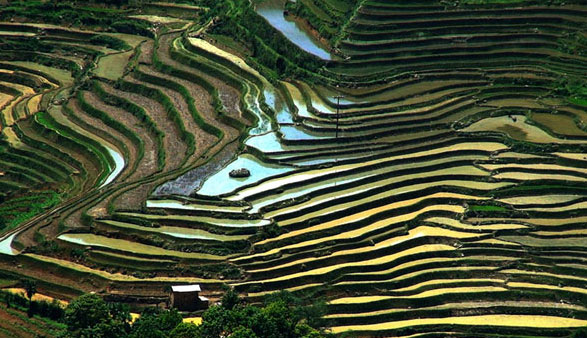 suppose design office: taipei pop music center proposal