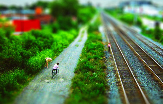 'tiger tiger' by the practice of everyday design