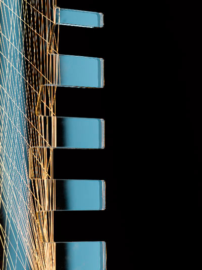 johnson banks 'habroneme' installation for 'the art of lost words' exhibition