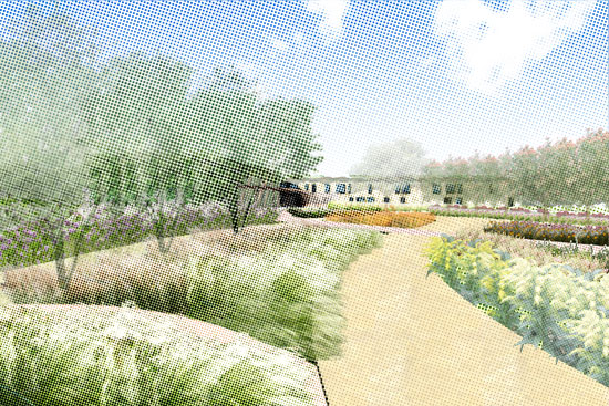 balmori associates: botanical research institute of texas