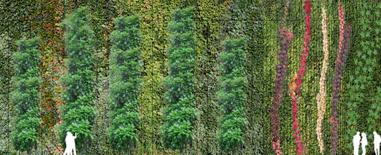 balmori associates: botanical research institute of texas