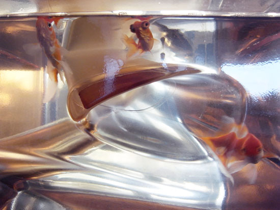 MAD architects studio visit : fish tank