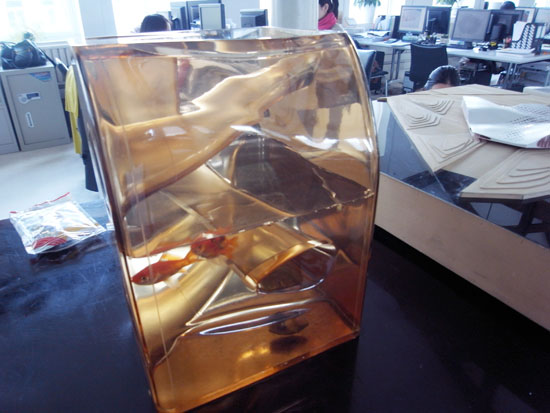 MAD architects studio visit : fish tank