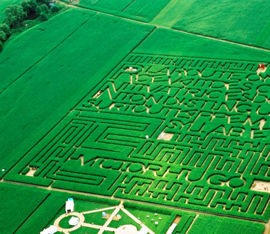 edouard francois: labyrinth   'moquette maquette'