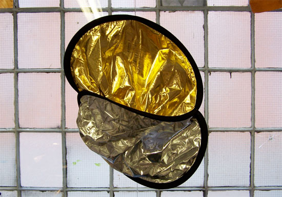 henny van nistelrooy: 'flashmob'