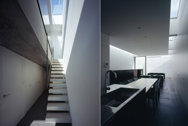 apollo architects and associates: flow