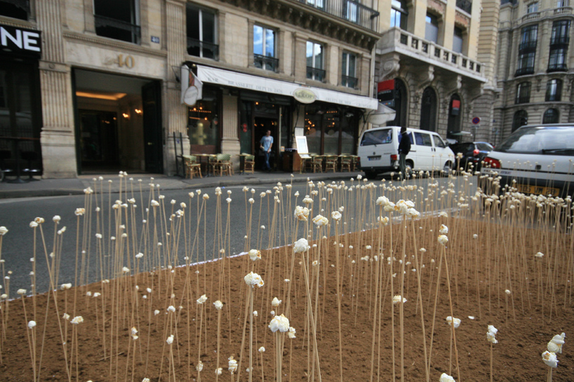 POP KAR by AKArchitectes