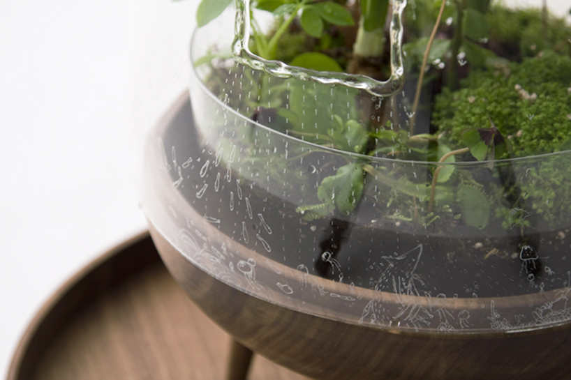 carissa santoso: the glass house for individual plants