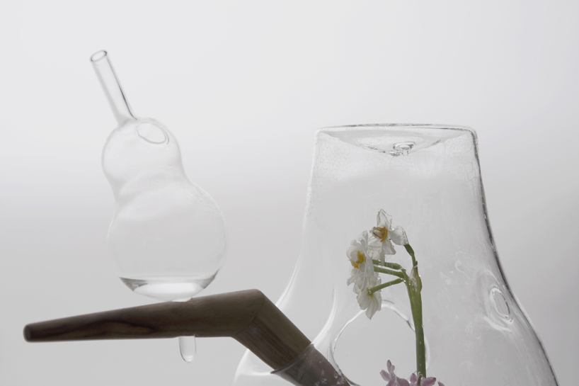 carissa santoso: the glass house for individual plants