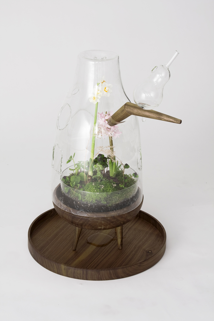 carissa santoso: the glass house for individual plants