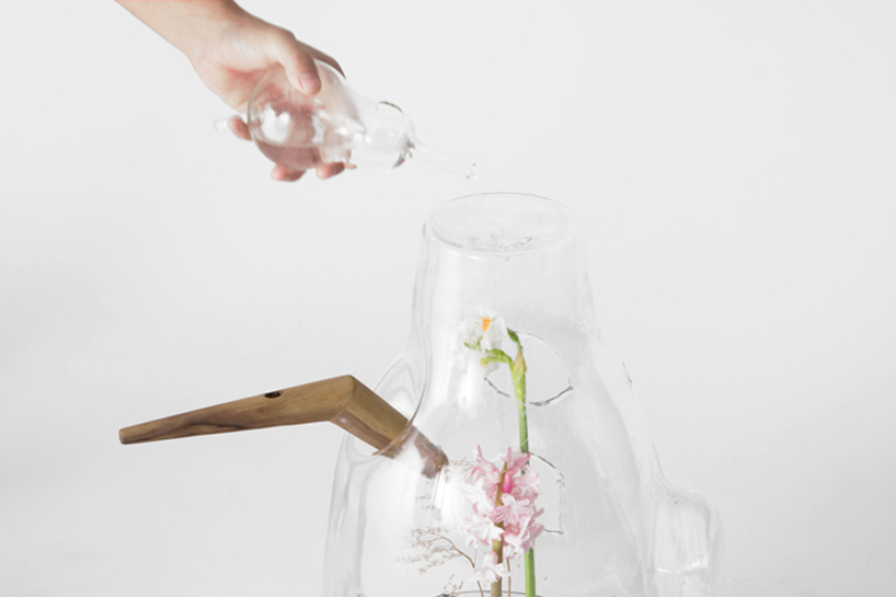 carissa santoso: the glass house for individual plants