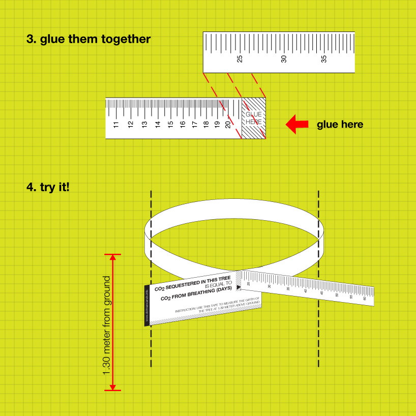 tree measuring tape for children, by nitipak samsen