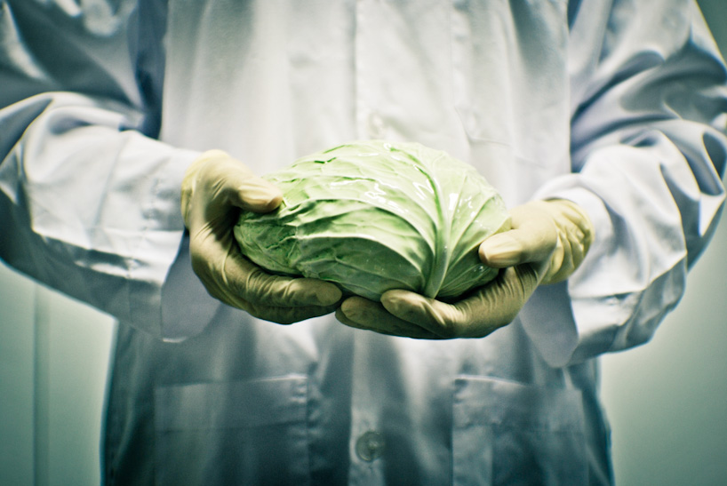 2011   CABBAGE BY ANON PAIROT DESIGN STUDIO