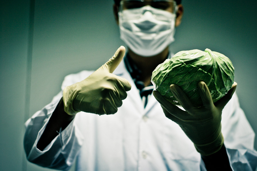 2011   CABBAGE BY ANON PAIROT DESIGN STUDIO