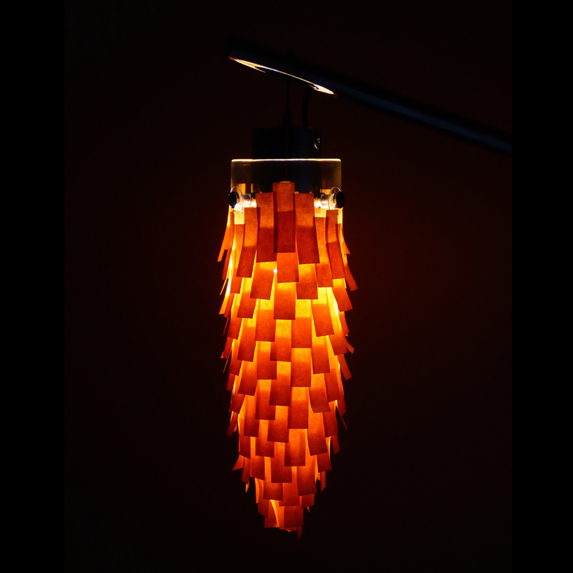 shinobu koizumi: bagworm light