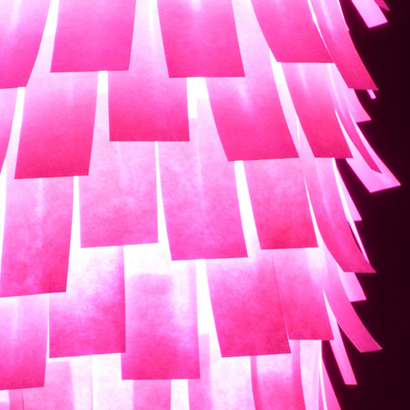 shinobu koizumi: bagworm light