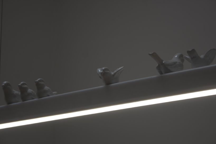 giopato & coombes: bird on wire