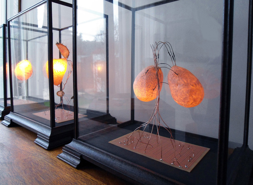 blooming senses by atelier fraser ross